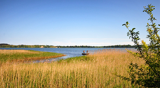 Moritzdorf Rügen