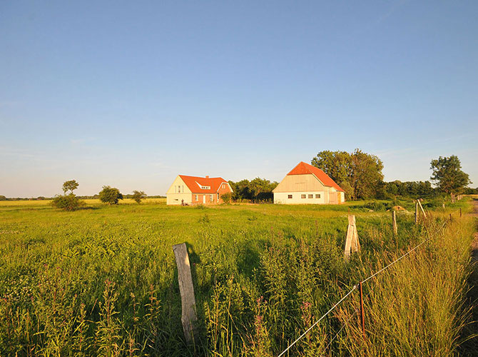 Bubkevitz Insel Rügen