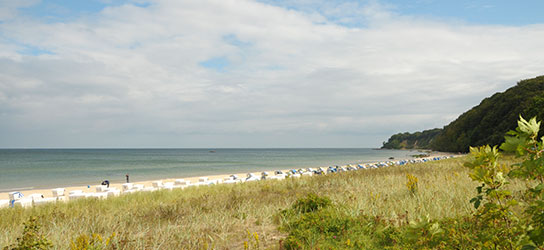 Findlinge Rügen