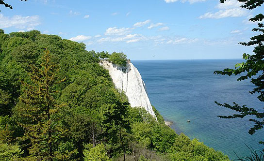 Königsstuhl- Insel Ruegen Buchen