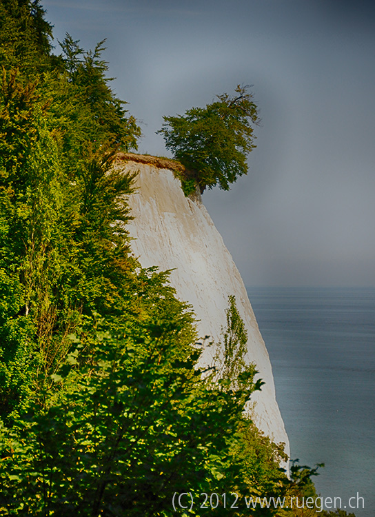 Kreidefelsen auf Rügen