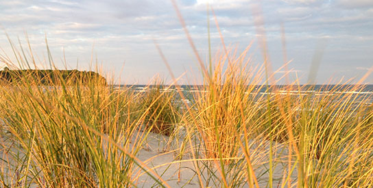 Aktivurlaub auf der Insel Rügen