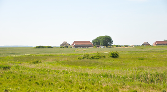 Kubitzer Ort auf Ummanz