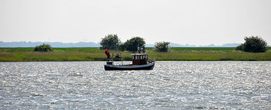 Boot bei Waase auf Ummanz